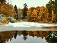 Kräuter und Öle im November fürs Bad